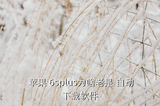  蘋果 6splus為啥老是 自動下載軟件
