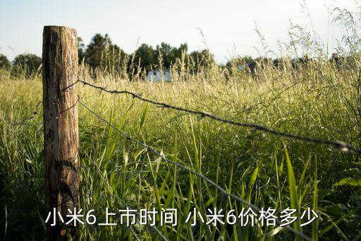 小米6 自動 圖片和價(jià)格多少錢一臺,手機(jī)要買什么?