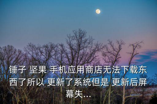 錘子 堅果 手機應用商店無法下載東西了所以 更新了系統(tǒng)但是 更新后屏幕失...