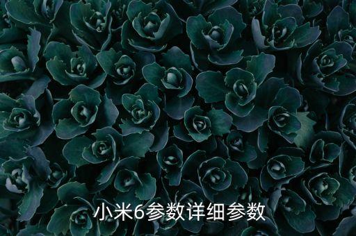 小米6自動鎖定屏幕分辨率,小米6詳細參數(shù):屏幕自動開啟