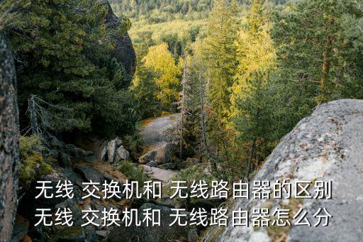 無線專用自動小交換機(jī),網(wǎng)絡(luò)連接設(shè)備有哪些?