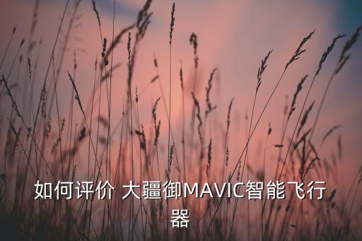 大疆御只能自動(dòng)起飛嗎,mavic系列飛機(jī)起飛后可自動(dòng)返回