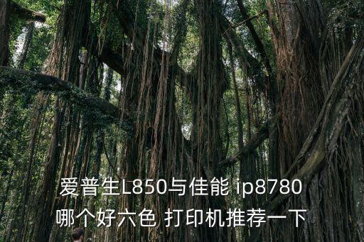 愛(ài)普生L850與佳能 ip8780哪個(gè)好六色 打印機(jī)推薦一下
