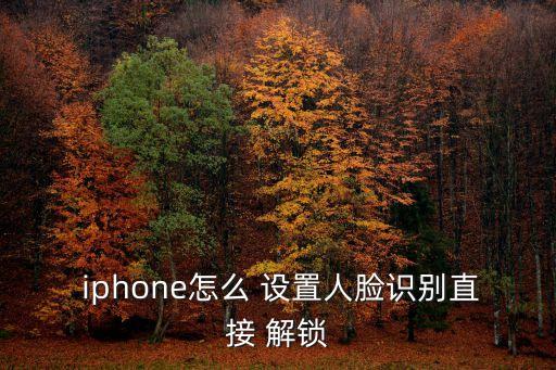  iphone怎么 設(shè)置人臉識別直接 解鎖