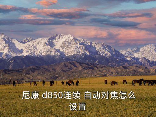  尼康 d850連續(xù) 自動(dòng)對(duì)焦怎么設(shè)置