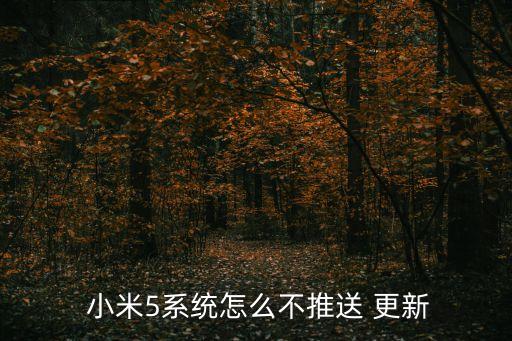  小米5系統(tǒng)怎么不推送 更新