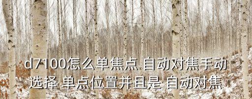 自動(dòng)單點(diǎn)對(duì)焦的應(yīng)用,自動(dòng)對(duì)焦有兩種類型