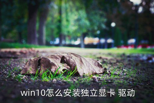 win10 n卡驅(qū)動自動安裝,win10驅(qū)動怎么安裝?