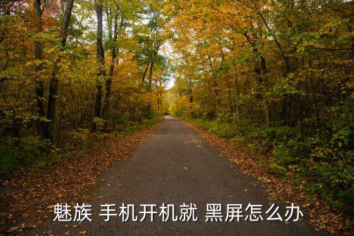  魅族 手機開機就 黑屏怎么辦