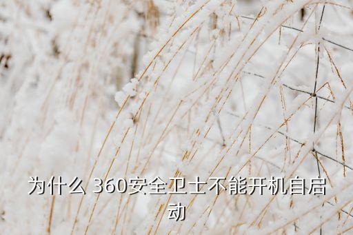 為什么 360安全衛(wèi)士不能開機(jī)自啟動