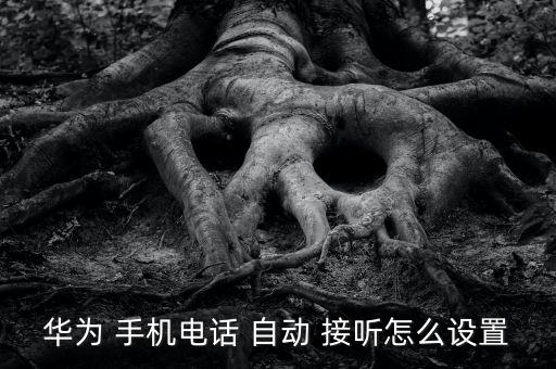 華為 手機(jī)電話 自動 接聽怎么設(shè)置
