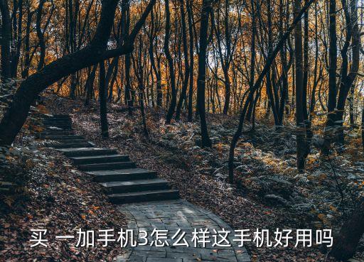 買 一加手機(jī)3怎么樣這手機(jī)好用嗎
