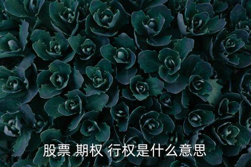 股票 期權 行權是什么意思