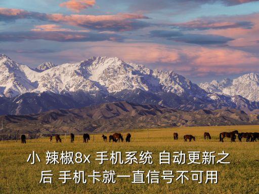小辣椒手機(jī)自動(dòng)下載,如何下載卓大師?步驟如下