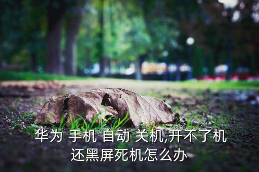  華為 手機 自動 關機,開不了機還黑屏死機怎么辦