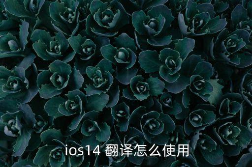  ios14 翻譯怎么使用