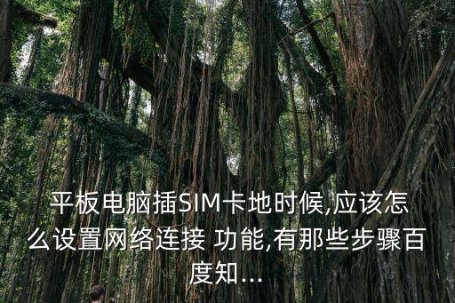  平板電腦插SIM卡地時(shí)候,應(yīng)該怎么設(shè)置網(wǎng)絡(luò)連接 功能,有那些步驟百度知...
