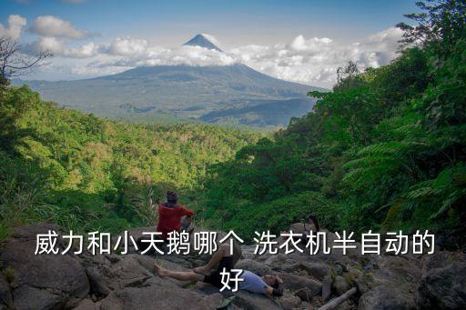 威力和小天鵝哪個(gè) 洗衣機(jī)半自動(dòng)的好