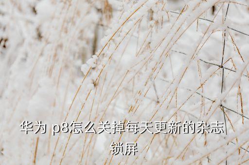 p8不自動鎖屏,設(shè)置wlan自動更新圖片解鎖或鎖屏