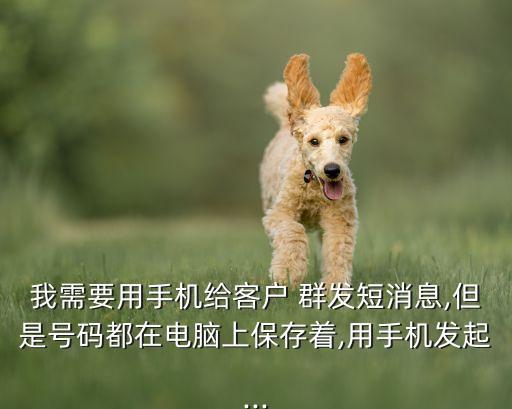短信群發(fā)自動(dòng)錄入,蘋果手機(jī)如何統(tǒng)一實(shí)現(xiàn)群發(fā)短信