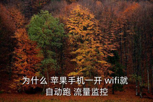 蘋果連wifi自動跑流量嗎,蘋果手機(jī)應(yīng)用程序如何安全使用?