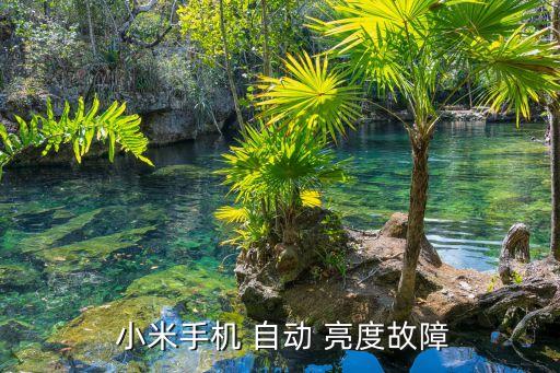 小米自動亮度不好用,手機亮度調(diào)節(jié)不靈或因手機閃光能力出問題