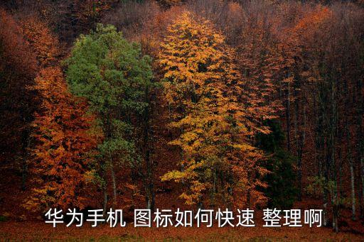  華為手機 圖標如何快速 整理啊