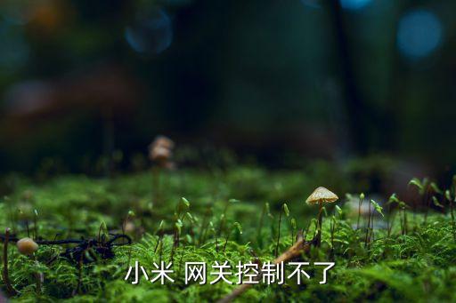 小米網(wǎng)關(guān)自動警戒,煙霧報警器怎么用?