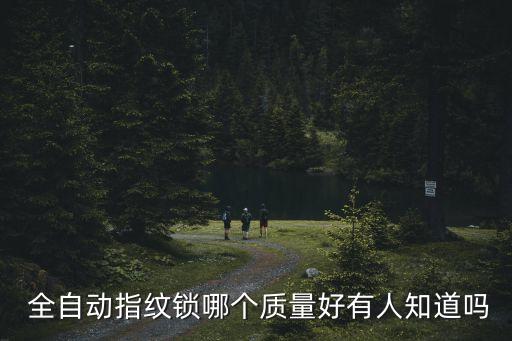 羅曼斯全自動,全自動指紋鎖有哪些好處?