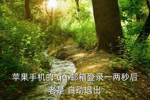蘋果手機(jī)的 qq 郵箱登錄一兩秒后老是 自動(dòng)退出