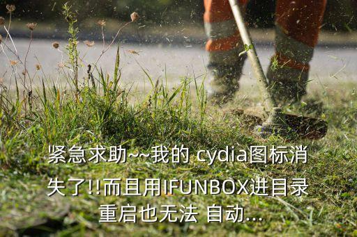 緊急求助~~我的 cydia圖標(biāo)消失了!!而且用IFUNBOX進(jìn)目錄 重啟也無(wú)法 自動(dòng)...