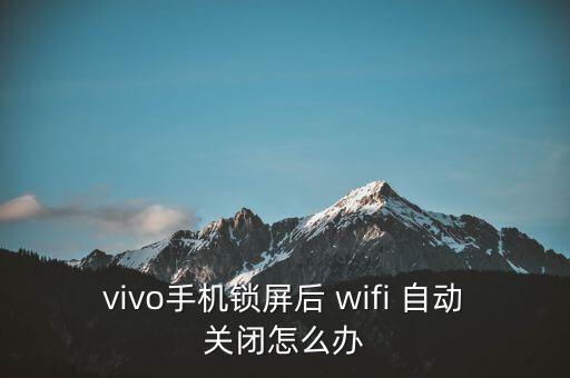 vivo手機(jī)鎖屏后 wifi 自動(dòng)關(guān)閉怎么辦