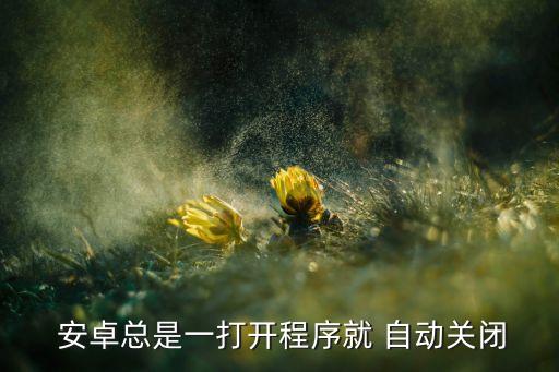 安卓手機不能打開軟件自動關了,怎么用tiktop軟件?