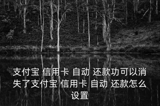 支付寶 信用卡 自動 還款功可以消失了支付寶 信用卡 自動 還款怎么設(shè)置