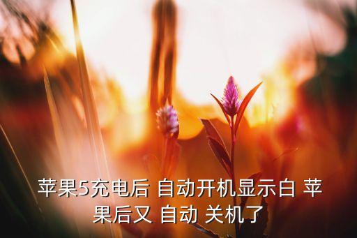白蘋果后自動關(guān)機,手機突然變白蘋果怎么辦?