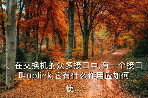 、在交換機的眾多接口中,有一個接口叫uplink,它有什么作用應如何使...