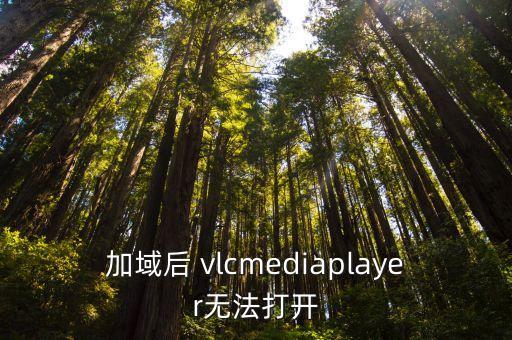 加域后 vlcmediaplayer無(wú)法打開
