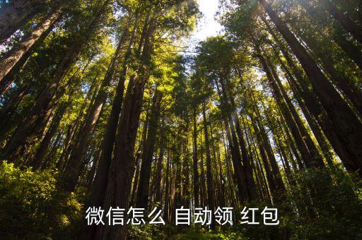  微信怎么 自動(dòng)領(lǐng) 紅包