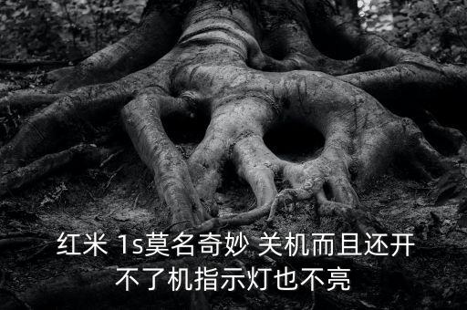  紅米 1s莫名奇妙 關(guān)機(jī)而且還開(kāi)不了機(jī)指示燈也不亮