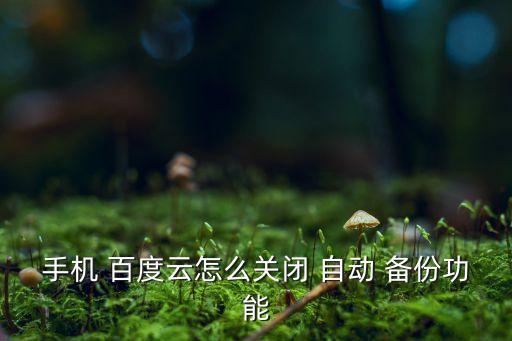 手機 百度云怎么關閉 自動 備份功能