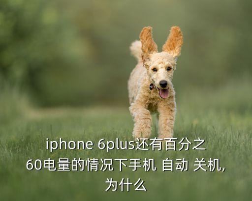 iphone 6plus還有百分之60電量的情況下手機(jī) 自動(dòng) 關(guān)機(jī),為什么