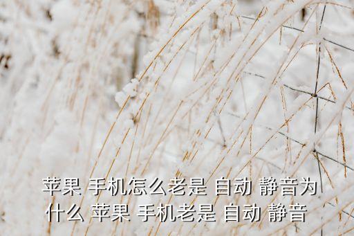  蘋果 手機怎么老是 自動 靜音為什么 蘋果 手機老是 自動 靜音