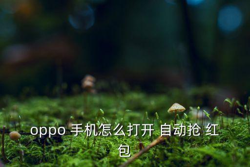oppo 手機(jī)怎么打開 自動搶 紅包