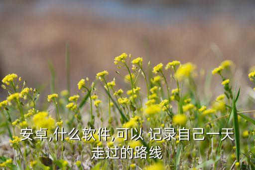 安卓,什么軟件,可以 記錄自己一天走過的路線
