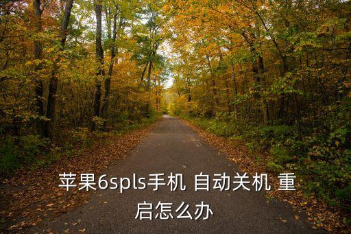 蘋果6splus經(jīng)常自動重啟是怎么回事,蘋果手機(jī)怎么重啟?