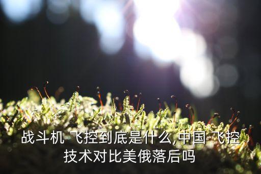 戰(zhàn)斗機 飛控到底是什么,中國 飛控技術(shù)對比美俄落后嗎