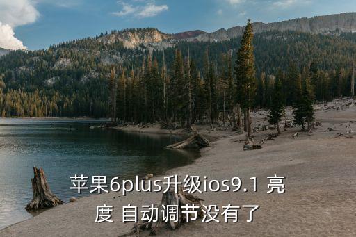 蘋果6plus升級(jí)ios9.1 亮度 自動(dòng)調(diào)節(jié)沒(méi)有了