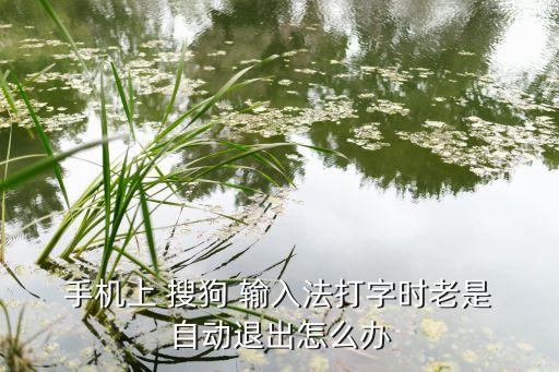  手機(jī)上 搜狗 輸入法打字時(shí)老是 自動(dòng)退出怎么辦