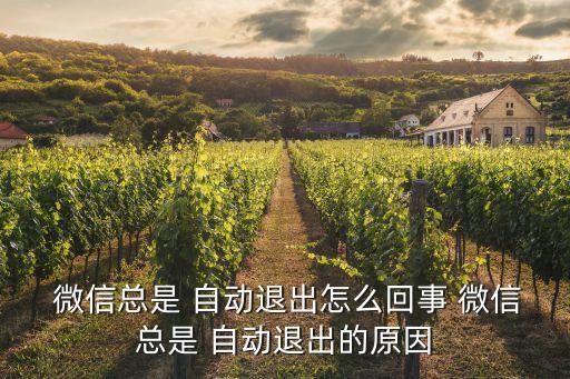 華為p9微信自動退出,微信為什么注銷自動你好?