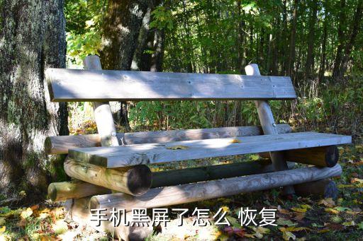  手機黑屏了怎么 恢復